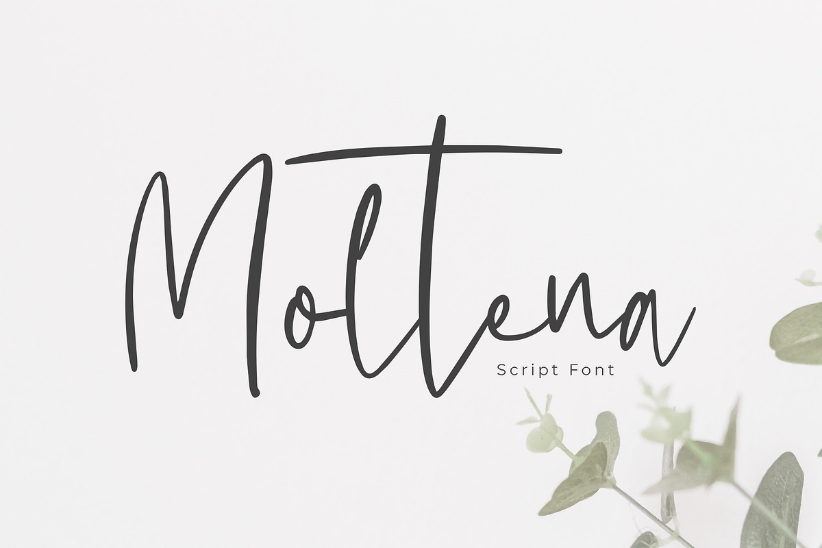 Moltena Script Font, a Script Font by NTC Graphic (Photo 1 of 9)