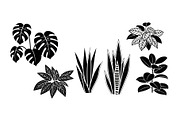 Minimal Botanical Leaf Silhouette Bu, an Illustration by Creativeshirt (Thumbnail 37 of 51)
