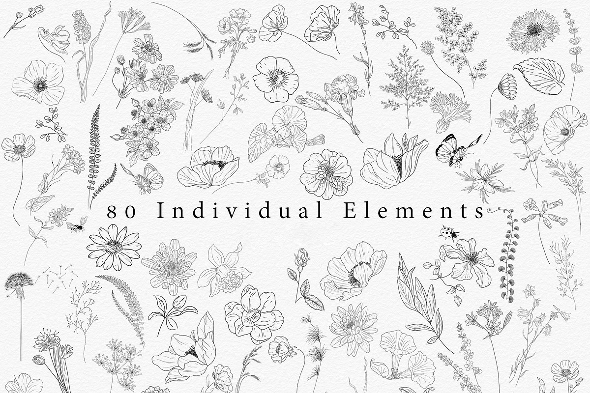 Procreate Wildflower Floral Line Art, a Brush Add-On by AW Studios (Photo 2 of 4)