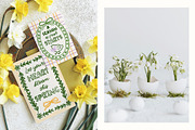 Spring Easter Frames & Illustration, an Object Graphic by ArtFM (Thumbnail 10 of 10)