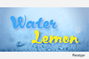 Kapelka New, a Script Font by Paratype (Thumbnail 3 of 6)