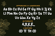 AYARA | Handwritten Display, a Handwritten Font by twinstd (Thumbnail 9 of 10)
