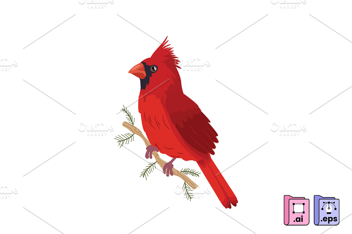 Hand Drawn Cardinal Illustration, an Animal Illustration by MISS CHATZ (Photo 1 of 3)