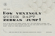 Spasi Decorative Wide Serif + Extras, a Serif Font by The Good Store (Thumbnail 2 of 10)