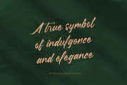 Pluretta Vintage Modern Brush Font, a Serif Font by Letterena Studios Script (Thumbnail 9 of 20)