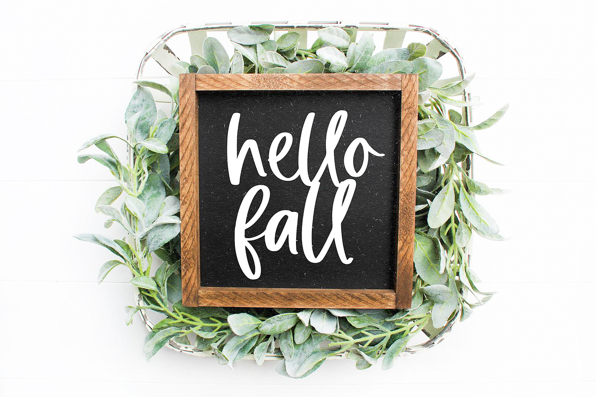 Pumpkin Harvest | Modern Script Font, a Script Font by KA Designs (Photo 6 of 17)