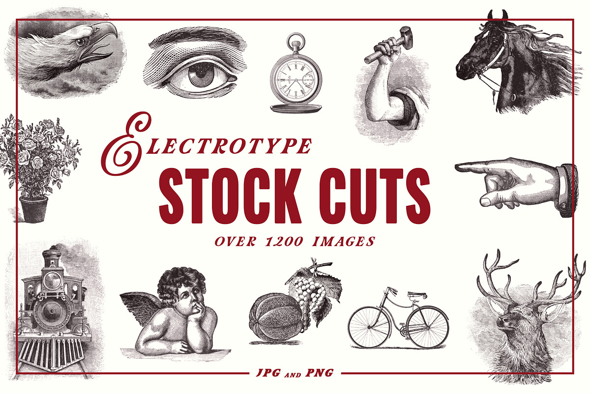 Electrotype Stock Cuts, an Animal Illustration by Blue Line Design (Photo 1 of 19)