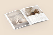 Magazine Mockups, a Product Mockup by Mockups Expert (Thumbnail 2 of 5)