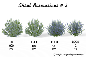 Shrub Rosmarinus 2