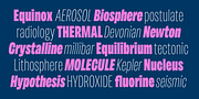 Maleo, a Sans Serif Font by Tokotype (Thumbnail 7 of 12)