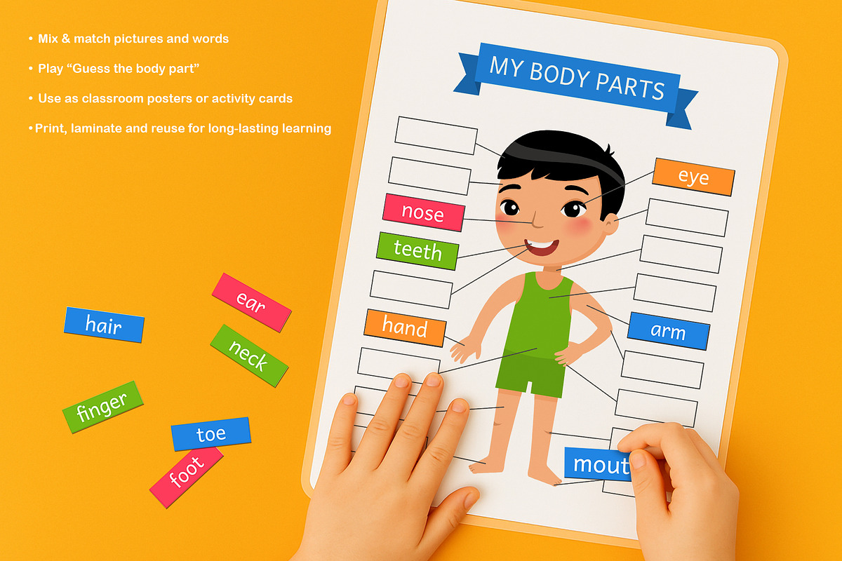 My Body Parts – Printable Learning C, an Education Illustration by Valin Malin (Photo 4 of 7)