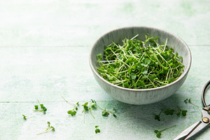 Fresh microgreens in bowl with scissors on green table, a Food & Drink Photo by Olena Rudo