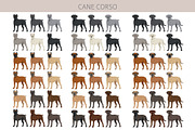 Cane Corso dog clip art, an Animal Illustration by pet design shop (Thumbnail 2 of 9)