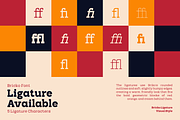 Bricko – A Bold Modern Slab Serif, a Slab Serif Font by roomspace creative lab (Thumbnail 12 of 15)