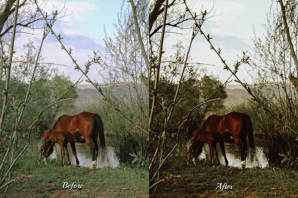 30 Countryside Lightroom Bundle, a Preset Add-On by 3Motional (Photo 9 of 11)
