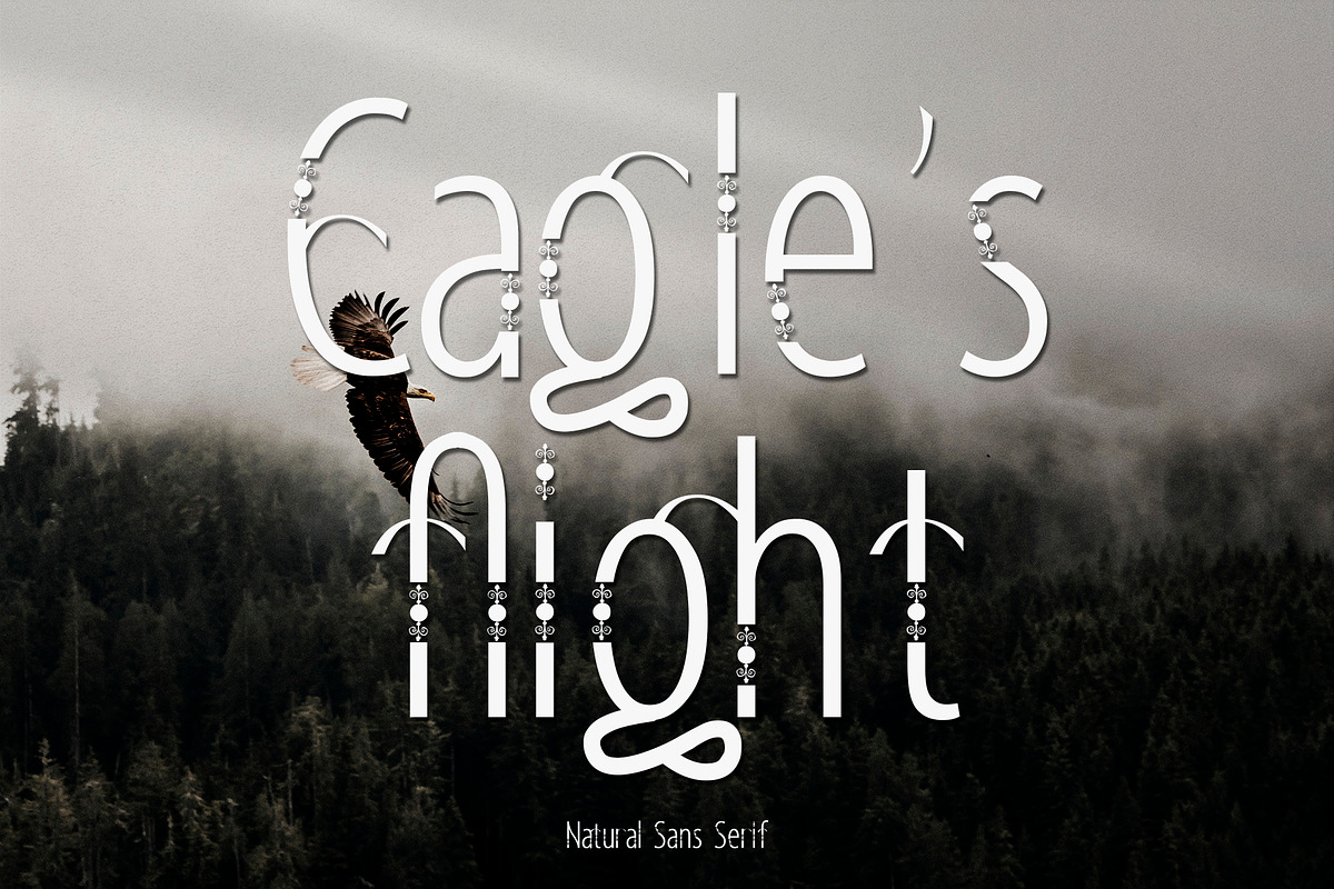 Eagle's Flight | Natural Sans Serif, a Sans Serif Font by Mr.Typeman (Photo 1 of 7)