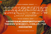 Peach Sangria Font Duo, a Script Font by Sam Parrett (Thumbnail 13 of 13)