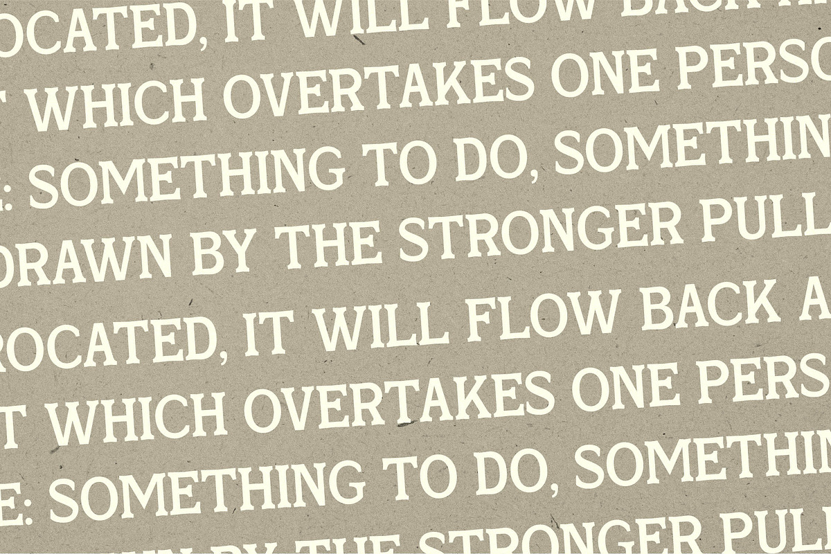 Skinner Morgan A Organic Typeface, a Serif Font by Storytype Studio (Photo 10 of 18)
