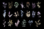 Wild flowers,herbs,herbaceous plants, a Texture Illustration by Good Studio (Thumbnail 4 of 22)