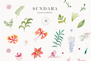 Sundara floral collection, an Illustration by SoNice (Thumbnail 12 of 14)