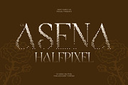 CS Asena Halfpixel, a Serif Font by Craft Supply Co. (Thumbnail 1 of 8)