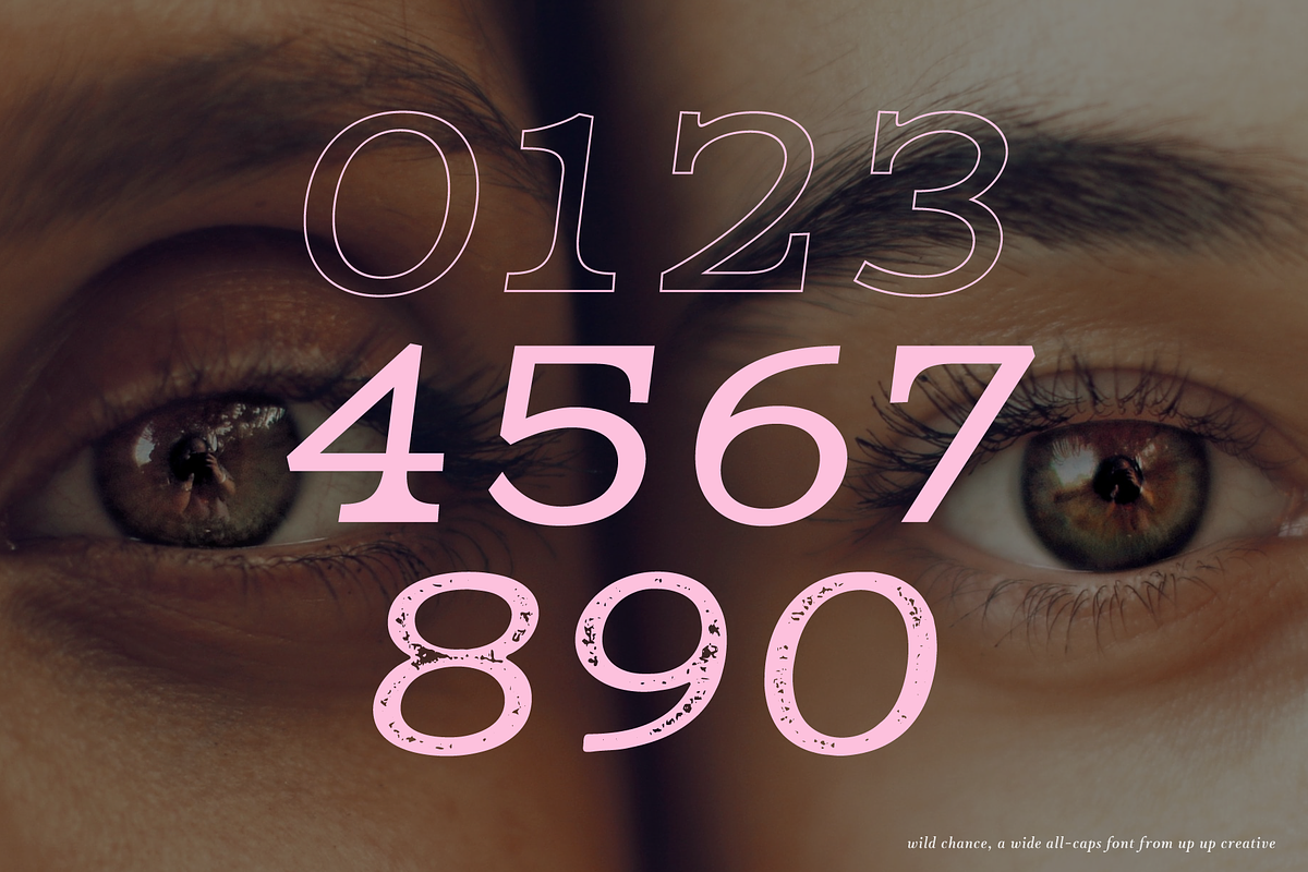 Wild Chance Complete 6-Font Family, a Serif Font by Up Up Creative (Photo 10 of 15)