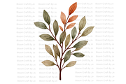 Dried Eucalyptus Branches, a Decorative Illustration by Bloom Craft Creations (Thumbnail 3 of 10)