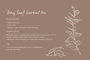 Herbs & Spices Vector Bundle, a Food Illustration by Little Gremlin (Thumbnail 10 of 10)