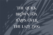 Astrid Elegant Ligature Typeface, a Serif Font by Dylla_studio (Thumbnail 10 of 12)