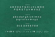 Faith Tree a Handwritten Font, a Font by Maximum Designstudio (Thumbnail 2 of 4)