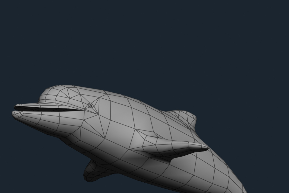 3DRT - Sealife - Dolphin, an Animal 3D Model by 3DRT.com (Photo 2 of 3)