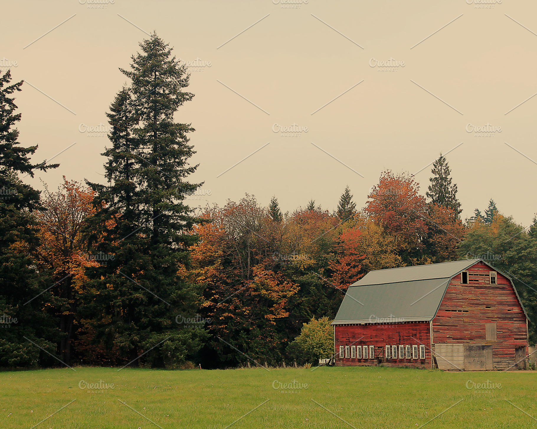 A Barn in the Fall, an Architecture Photo by Creatively Happy Studio