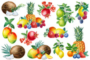 Watercolor fruits clipart, an Illustration by Hanna Hryharenka (Thumbnail 12 of 14)