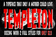 Templeton, a Sans Serif Font by Andrew Hochradel (Thumbnail 1 of 6)