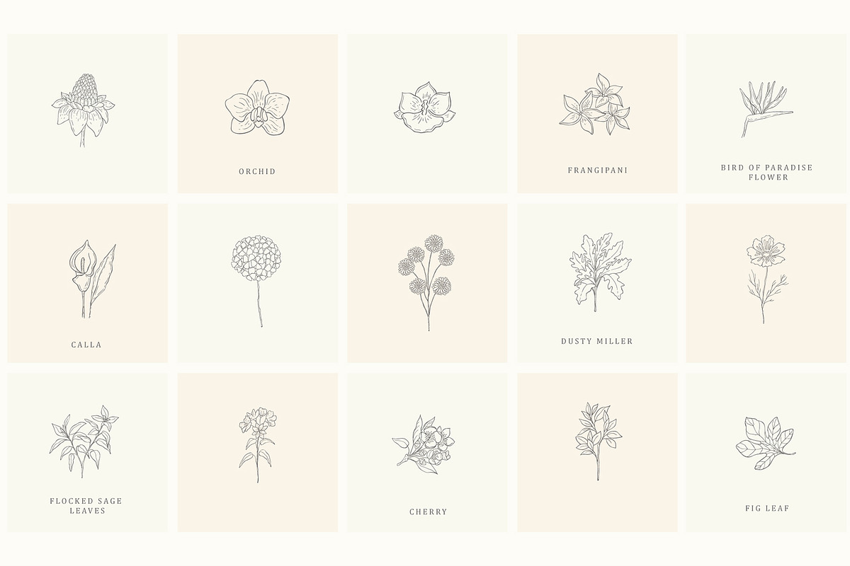 Botanical Hand Drawn Designs, Logos, a Seasonal Illustration by Designwork (Photo 8 of 22)