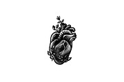 Human Heart | Tattoo Style, an Education Illustration by Design by sebrodbrick (Thumbnail 2 of 11)