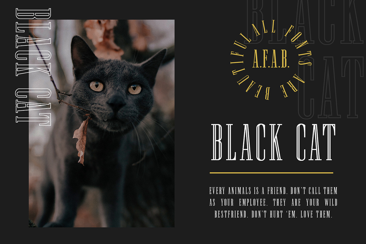 Newston - Stylish Serif Font preview 5