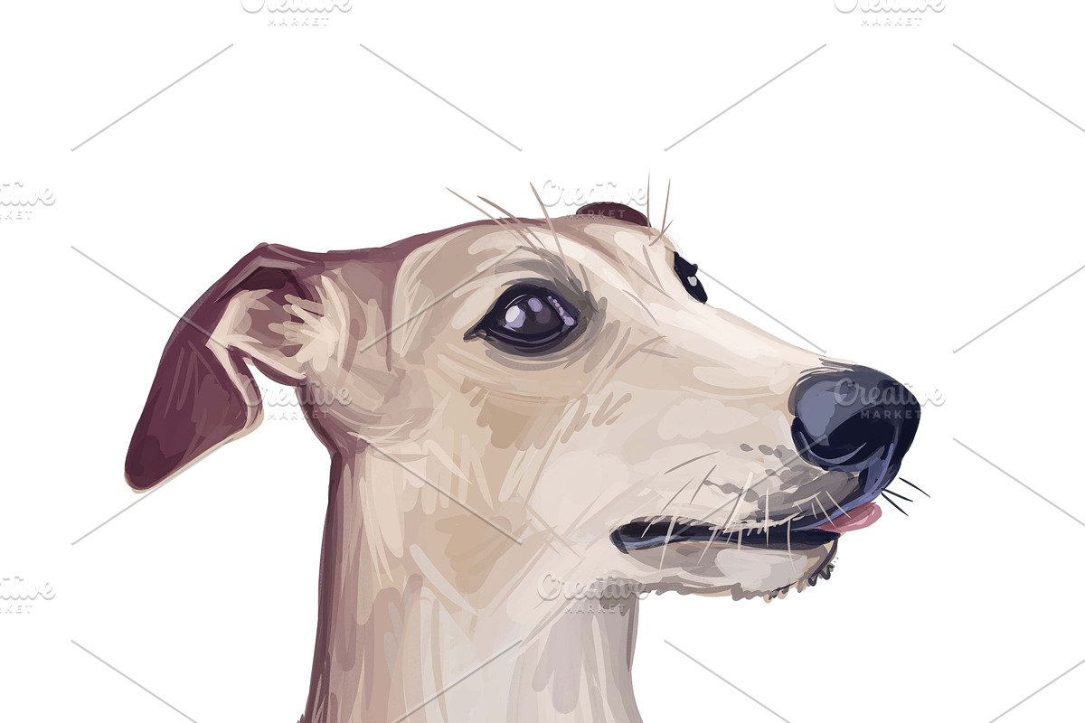 Dogs Cross Breeds 56 Animals Bundle, an Animal Illustration by Dneprstock (Photo 26 of 55)