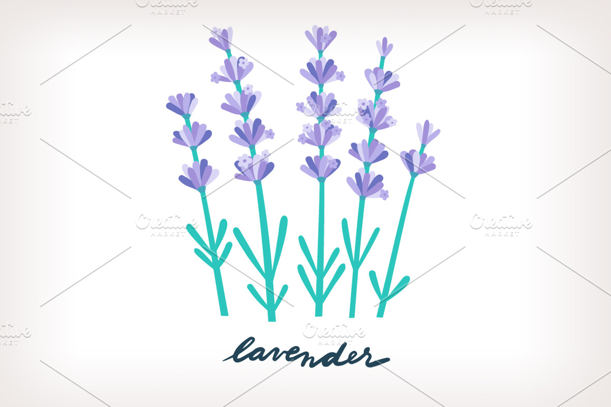 Aromatic Herbs Vector Graphics, an Illustration by Insalata Illustrata (Photo 5 of 6)