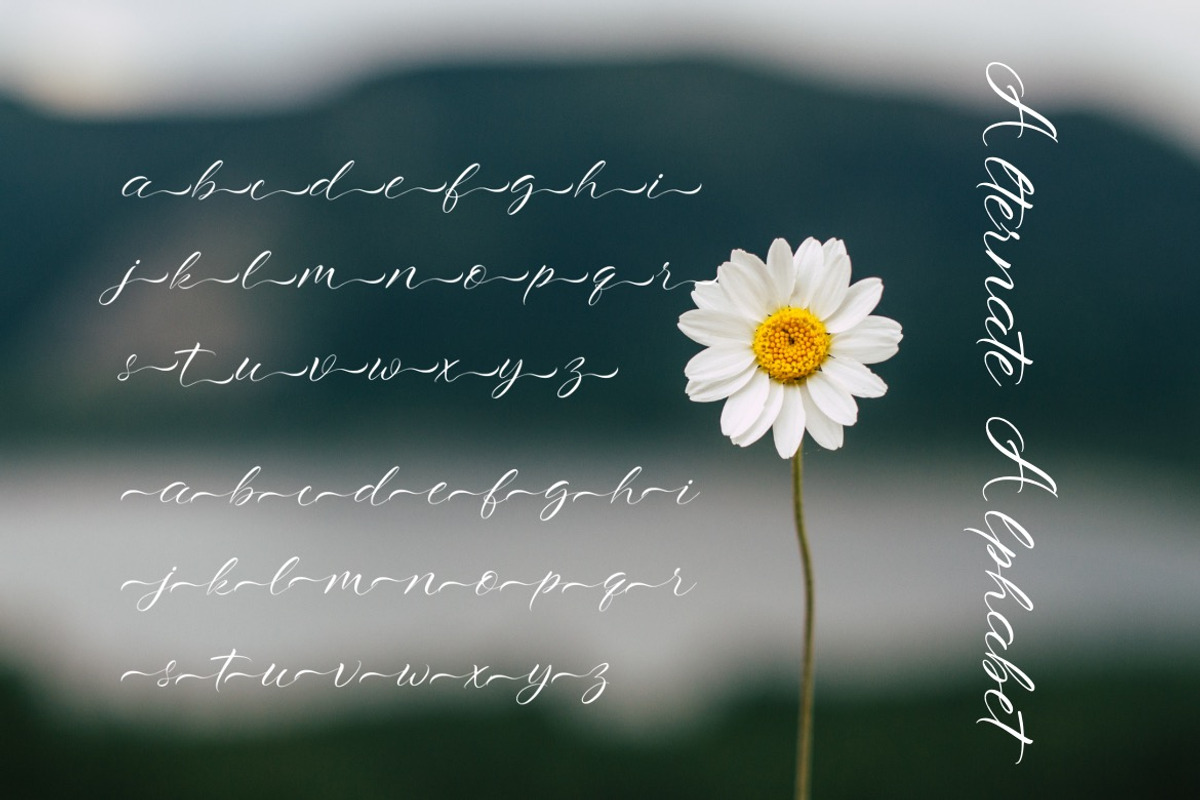 Roshiaty - Signature Casual Font, a Script Font by Dhabee (Photo 6 of 14)