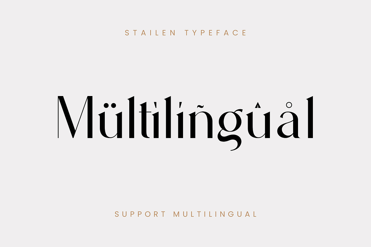 Stailen Modern Serif Font, a Serif Font by Idea Studio (Photo 9 of 12)