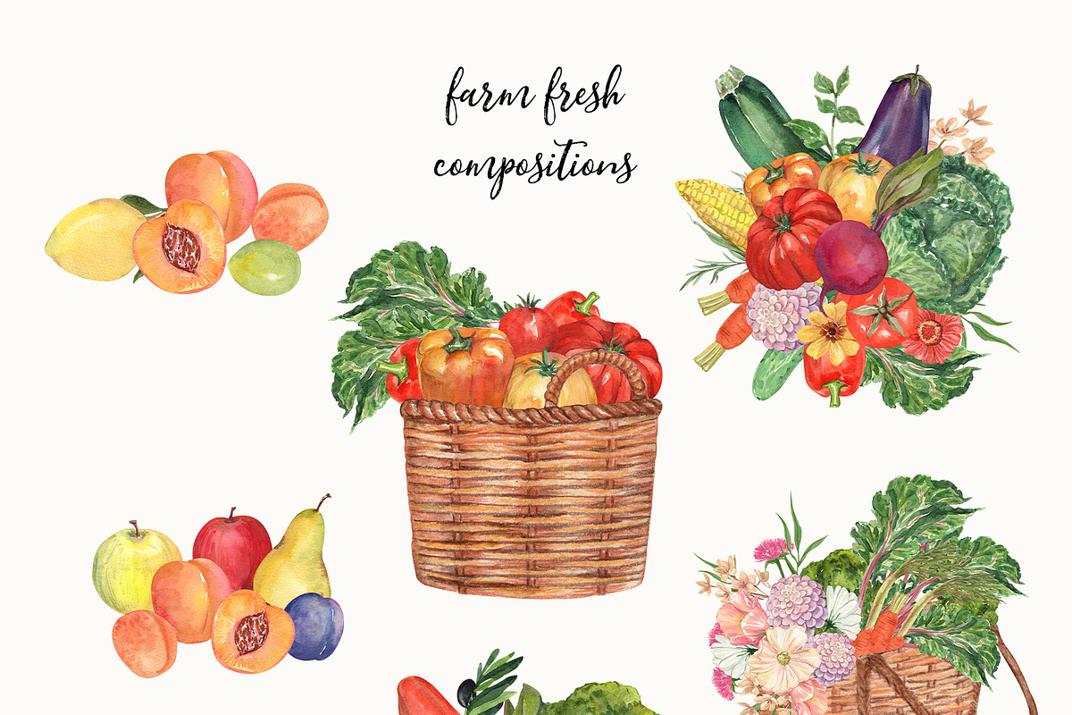 Fresh Off the Market Farm Watercolor, a Food Illustration by Catch the Dream Art (Photo 7 of 12)