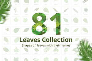 81 Leaves with their names