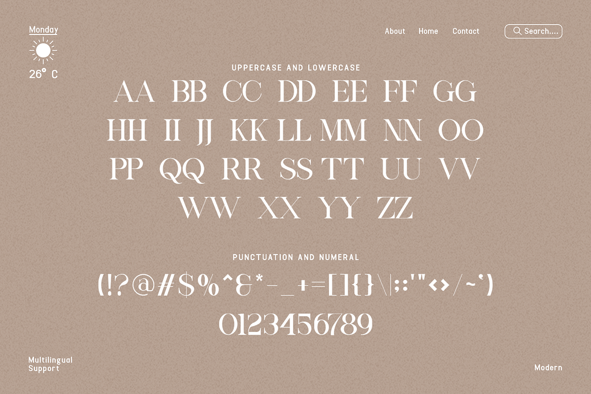 Lovely - Classy Serif Font, a Serif Font by overlaytemplates (Photo 4 of 5)