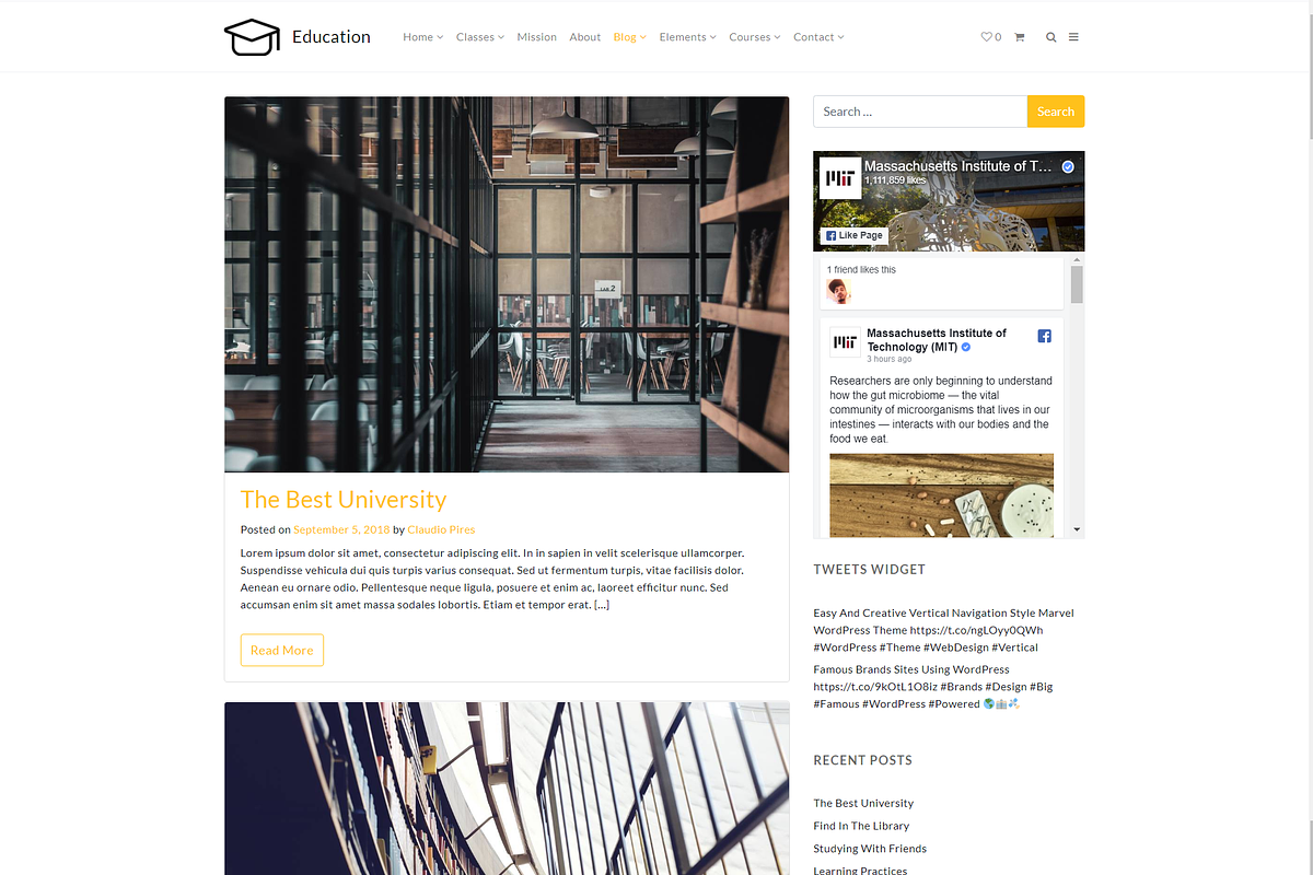 Education & Courses WordPress Theme, a WordPress Template by Visualmodo (Photo 19 of 41)