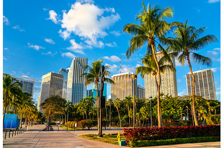 Skyscrapers of Downtown Miami from, an Architecture Photo by Leonid Andronov