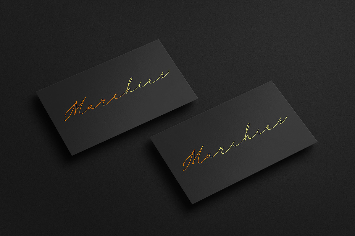 Sunnyletter Modern Script, a Script Font by MJtypefoundry (Photo 3 of 10)