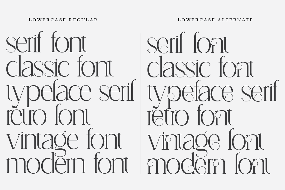 Aikenap, a Serif Font by Muksal Creative (Photo 6 of 8)