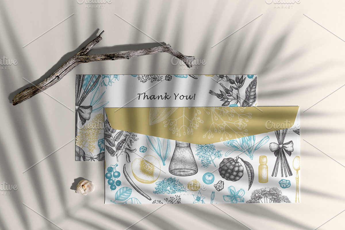 Aromatic Plants & Flowers Sketches, a Healthcare Illustration by Yevheniia (Photo 9 of 9)