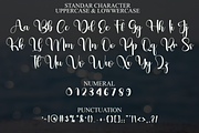 Bluey, a Script Font by FreshTypeINK (Thumbnail 2 of 7)